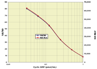 Cyclic GMP Chemiluminescent Immunoassay Kit
